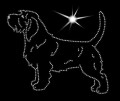 VI Basset. Fauve. De Bretagne. 150x120.jpg