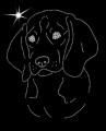 VI Beagle. Leb 200x170.jpg