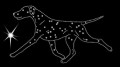 VI Dalmatian. move. 220x120.jpg