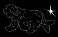 I Pon. 1. move. 200x110.jpg