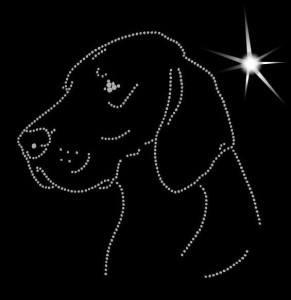 HUNGARIAN VIZSLA SHORT-HAIRED DIAMOND APLIICATION