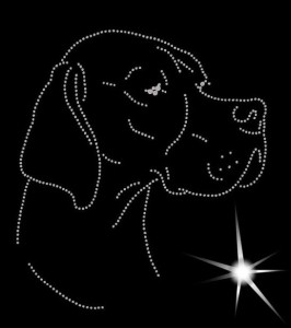 ENGLISH POINTER DIAMOND APLIICATION