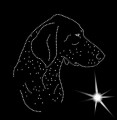 VII German. Shorthaired. Pointer. Leb. 165x155.jpg
