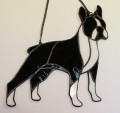 BOSTON TERRIER CZARNY.JPG