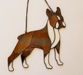 BOSTON TERRIER CZEKOLADOWY.JPG