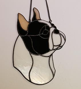 BOSTON TERRIER GŁOWA.JPG