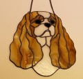 CAVALIER KING CHARLESS SPANIEL BIAŁO-PŁOWY.JPG