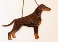 DOBERMANN CZEKOLADOWY.JPG