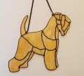 IRISH SOFT COATED WHEATEN TERRIER CIEMNIEJSZY.JPG