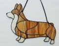 WELSH CORGI PEMBROKE PŁOWY CIĘTY OGON.JPG
