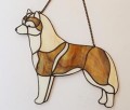 SYBERIAN HUSKY PŁOWE.JPG
