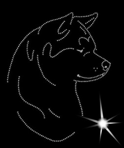 AKITA  DIAMOND APPLICATION