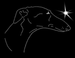 SPANISH GREYHOUND GALGO DIAMOND APLICATION