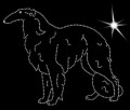 X Borzoi.  185x150.jpg