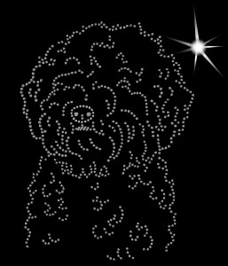 LAGOTTO ROMAGNOLO DIAMOND APLICATION