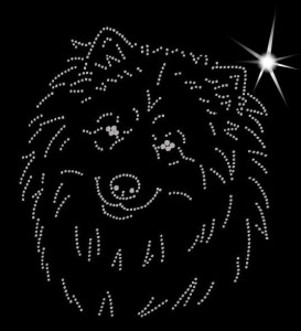 EURASIER DIAMOND APPLICATION