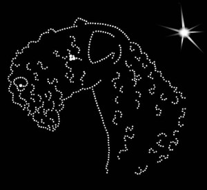 LAKELAND TERRIER DIAMOND APLICATION
