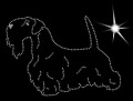 III Seal.T.  160x115.JPG