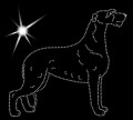 X Irish. Wolfh. 185x165.jpg