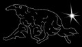 X Borzoi. move. 205x105.jpg