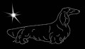 IV Dachs. Long_red. Ameryk. 3. 210x110.jpg