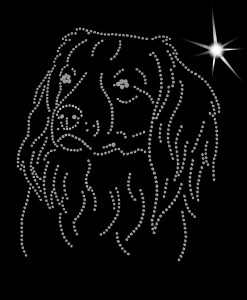 KOOIKERHONDJE DIAMOND APLICATION
