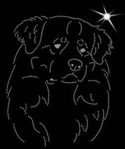 BERNESE MOUNTAIN DOG DIAMOND APLICATION