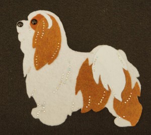 Bichon Havanais felt aplication