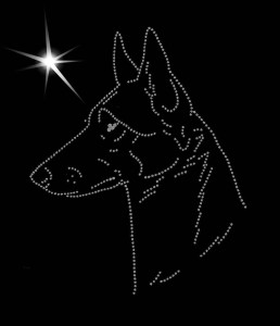 BELGIAN SHEPHERD MALINOIS DIAMOND APLICATION