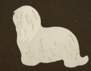 Coton dr Tulèar felt aplication