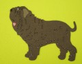 MASTINO2.JPG