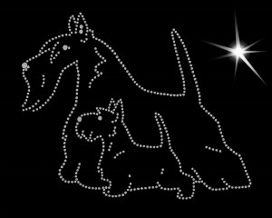 Scottish Terrier diamond aplication 