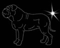 II.Dog. de Bord. . 185x140.jpg