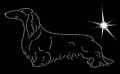 IV Dachs. Long_red. Niem. 2. 210x110 — kopia.jpg