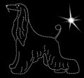 X Afgan. Hound.  170x165.jpg