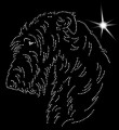 X Irish. Wolfh. Leb. 180x165.jpg