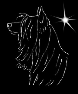 AUSTRALIAN SILKY TERRIER DIAMOND APPLICATION